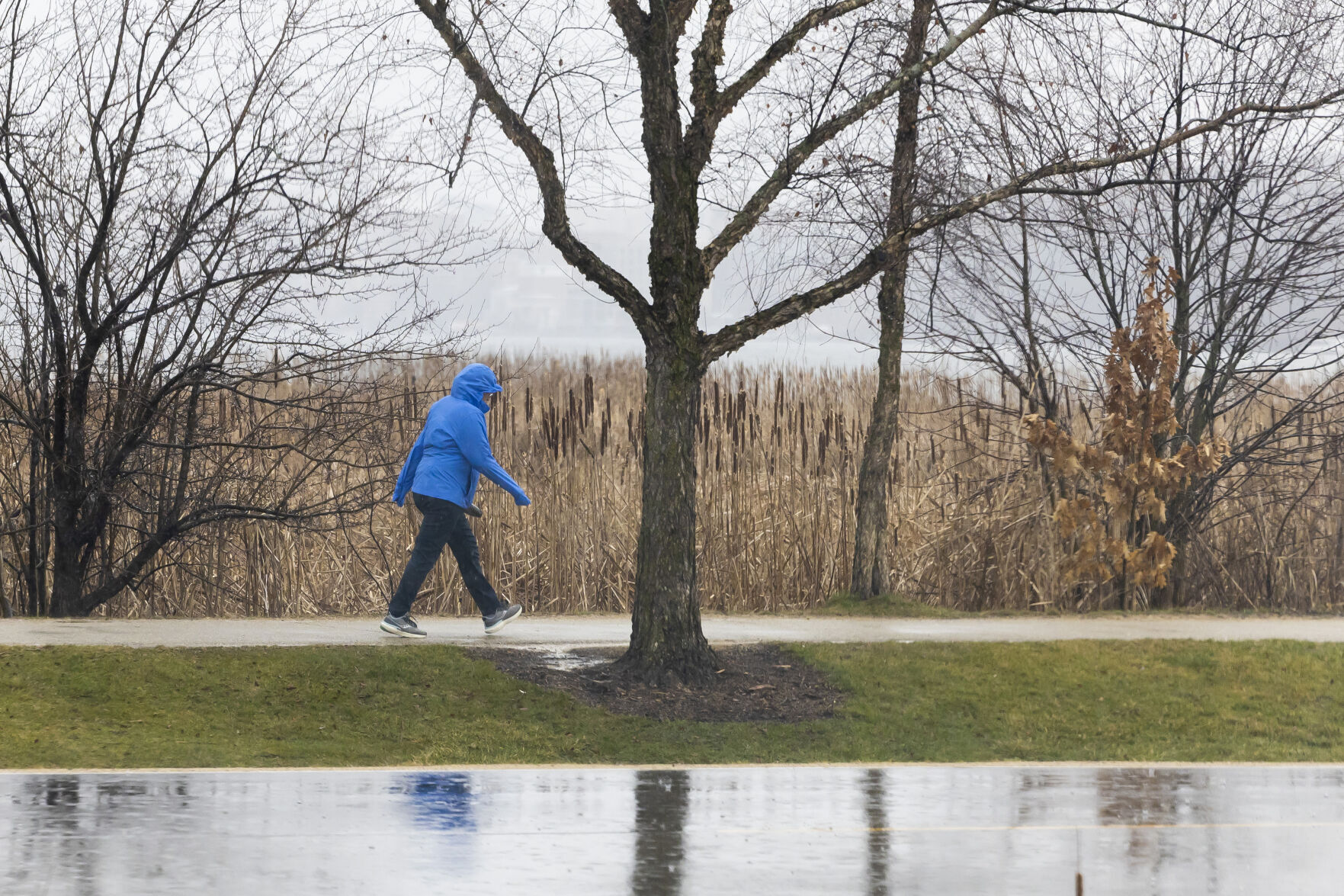 How much rain fell during Monday night's storm in Madison?
